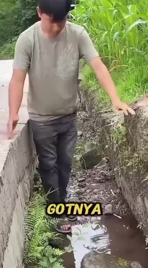 lihat  #RCTIPlus  #rcti  #HOTrctiplus  #RCTIoke  #Viral  #1TRENDING 