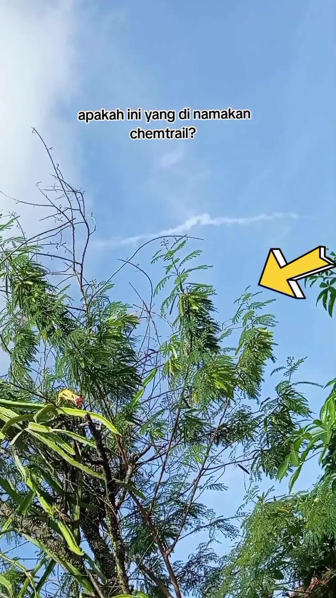 apakah ini yang dinamakan chemtrail? 