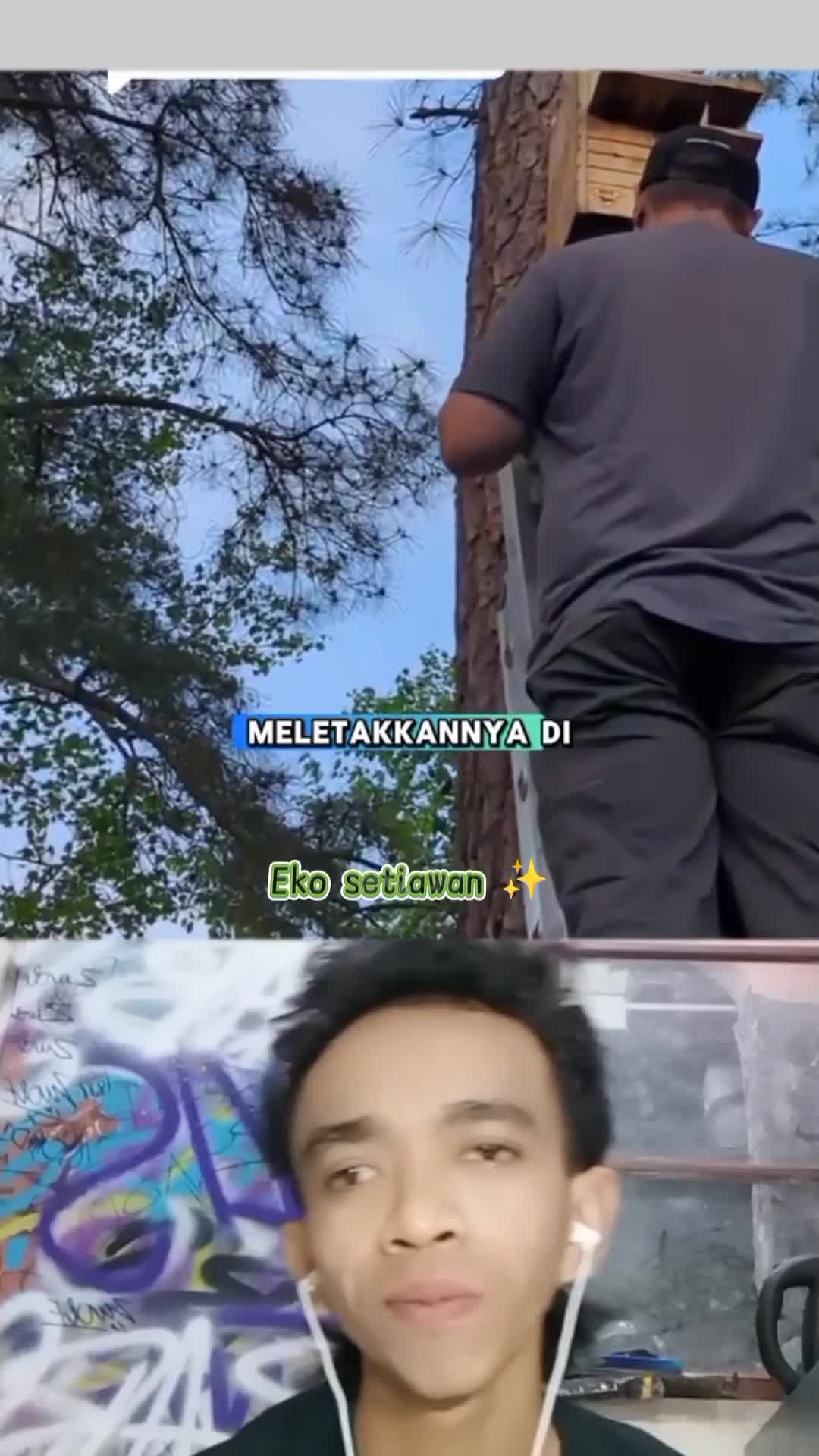 tupai kecil ini memohon agar rumah nya tidak di tebang sampai menangis 🥺#duett #reactiont #humor 