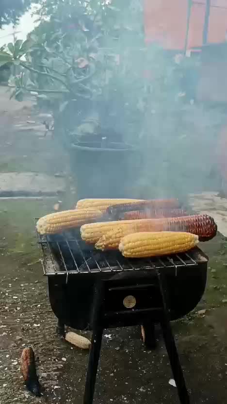 Mbakar jagung
 #Bagi dikit dong jagungnya 