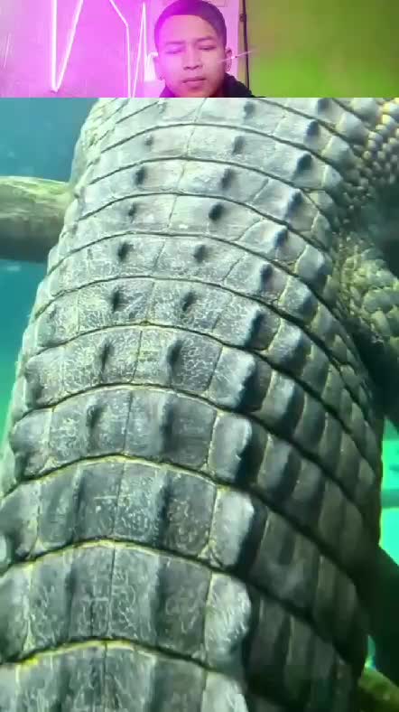 lihat  #RCTIPlus  #rcti  #RCTIoke  #Viral  #trending