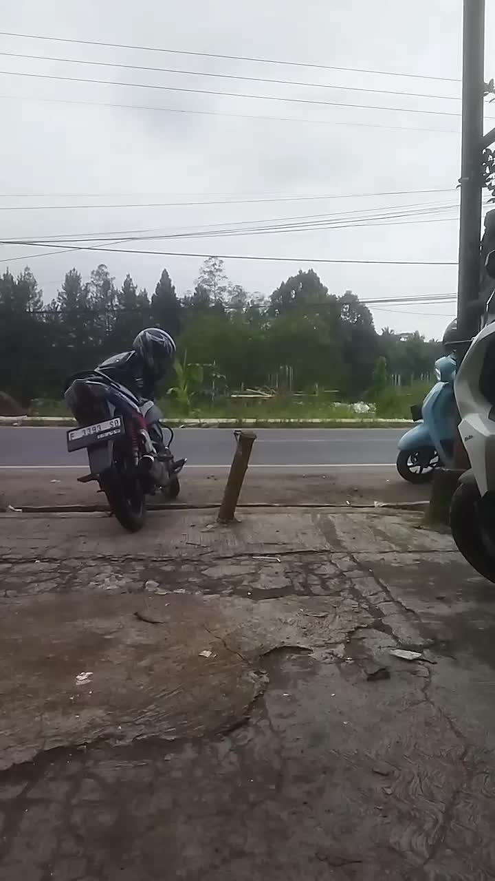 cicing ngajemput sang istri di gsi ci kembar