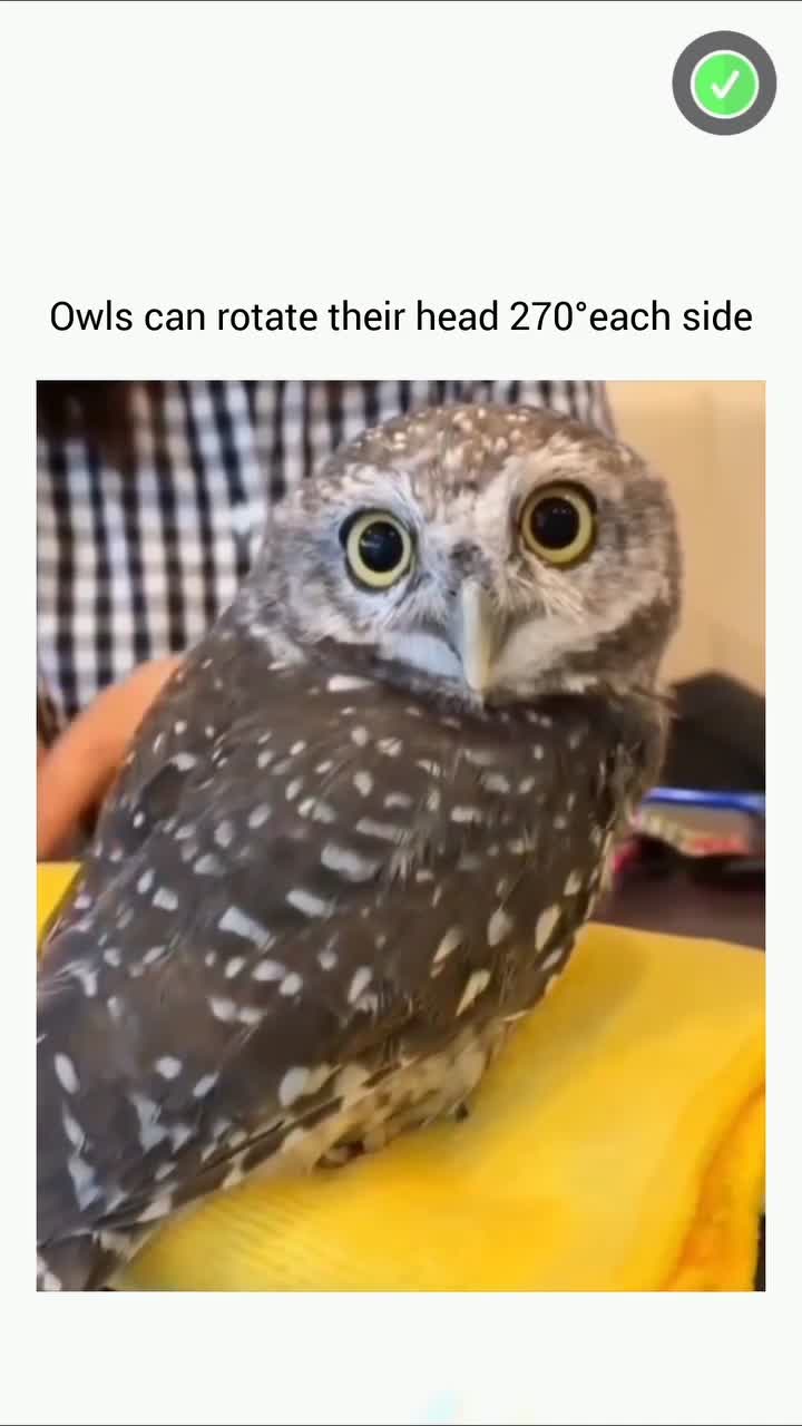 This Will Blow Your Mind! Part 157 🔥 #creativeprocess #innovation #trendingnow #inspiration