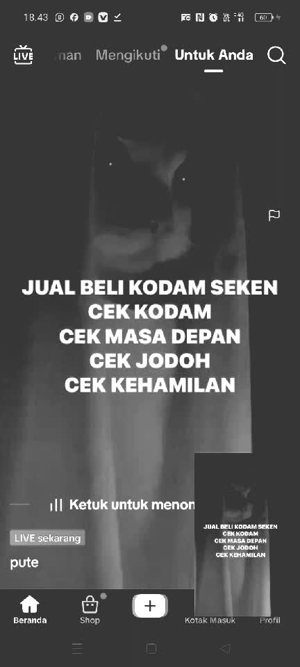 CEK KODAM CORE🗿