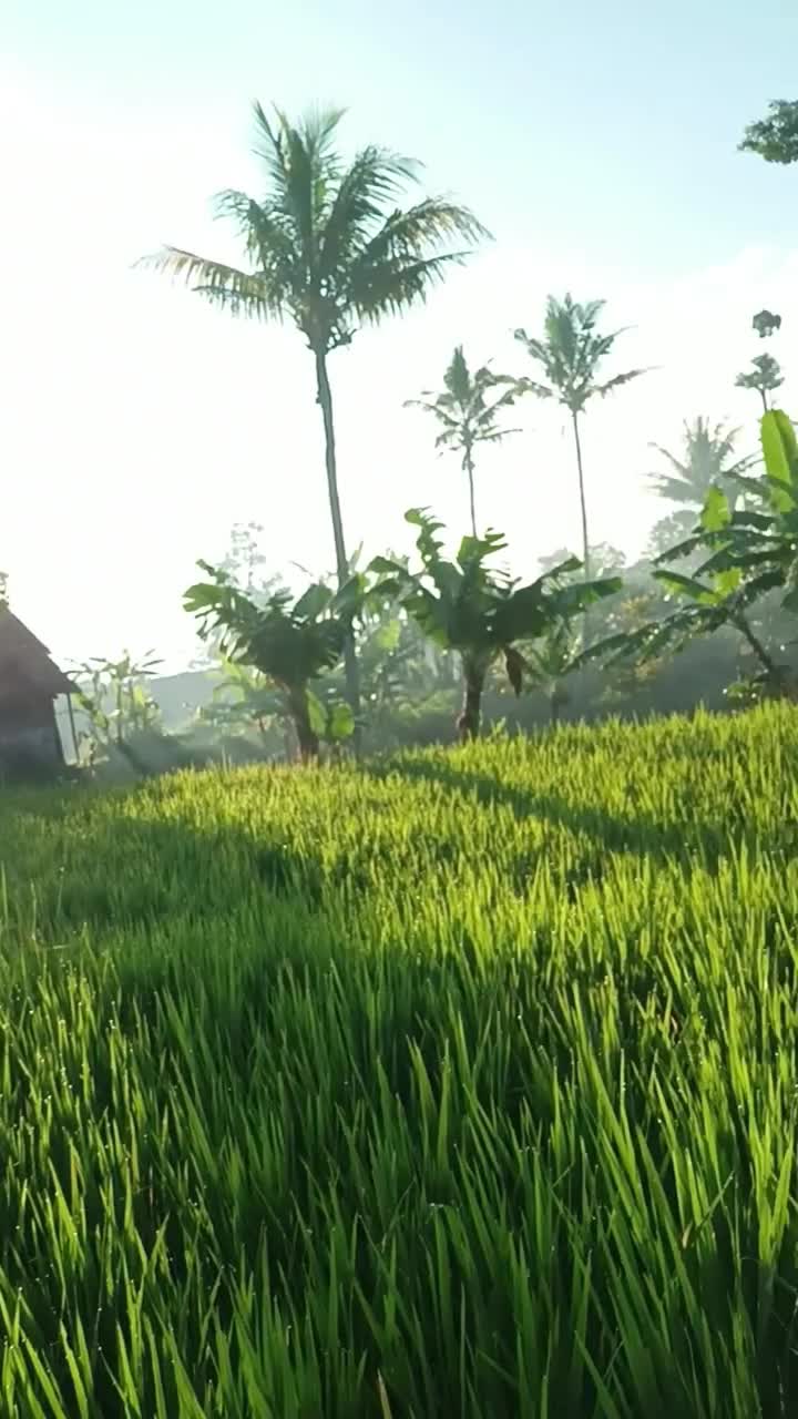 berjemur di bawah matahari langsung  #short  #HOTrctiplus  #RCTIPlus  #fyp 