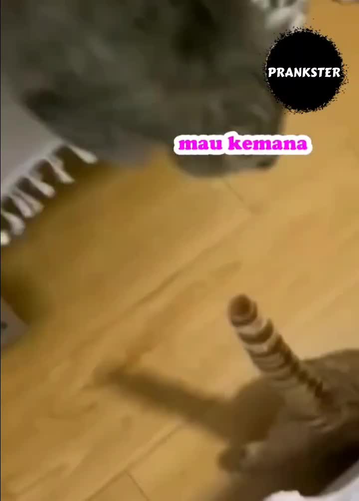 #386 Ketahuan kan 🤣
#videolucu #prank 