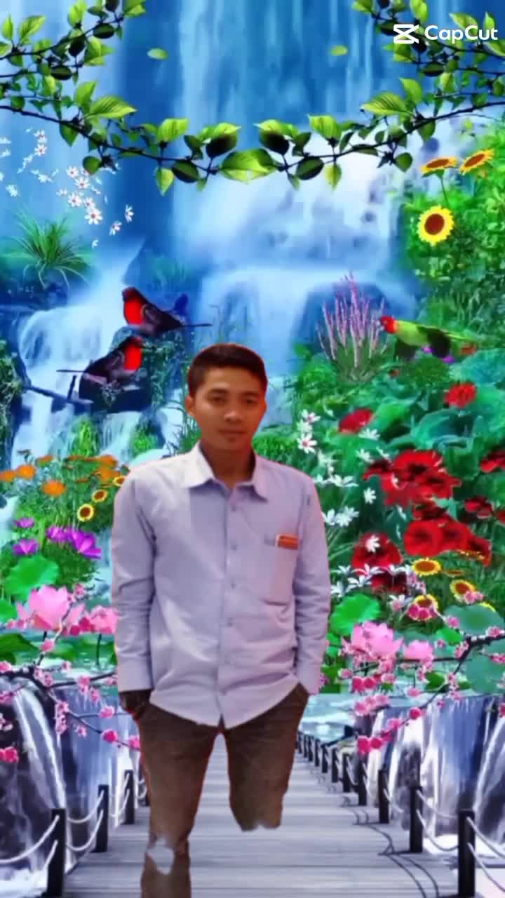  vvs