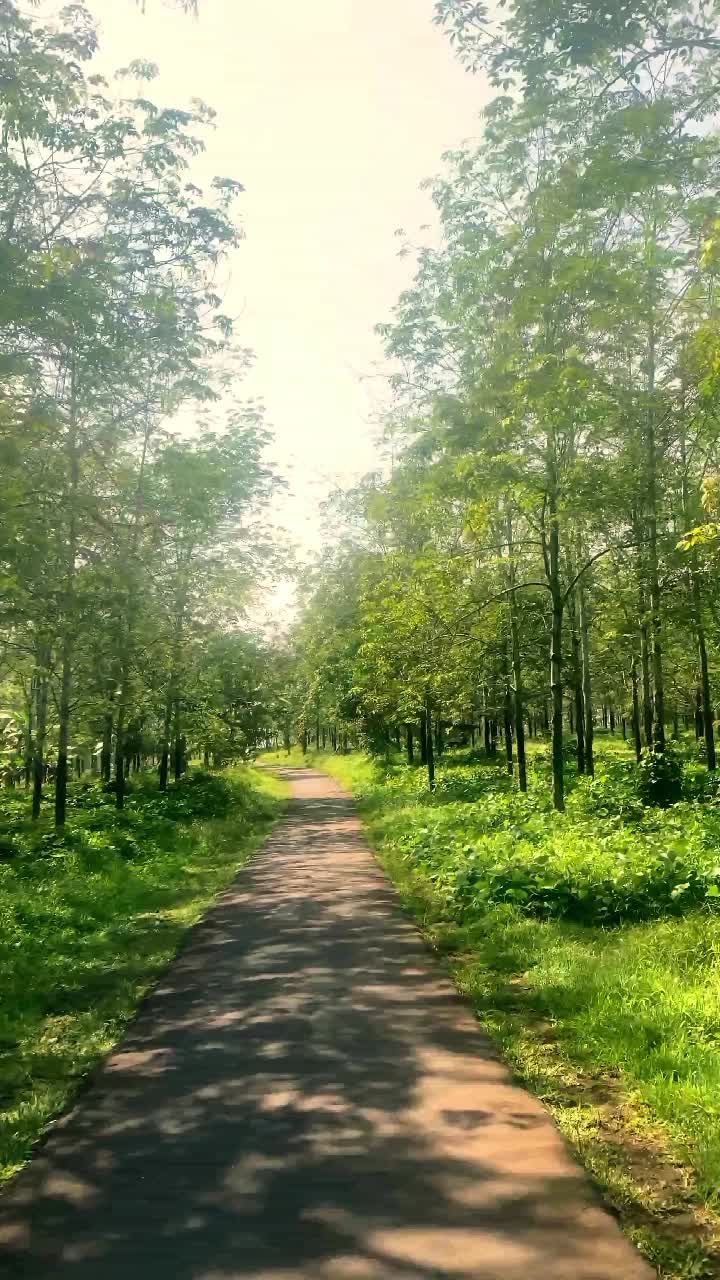 Keindahan alam Indonesia 🔥
 #fyp #trending #indah banget  #alam  #Viral 