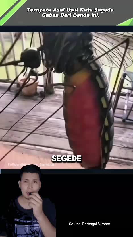 asal usul kata segede Gaban. #videoviral  #faktaviral  #RCTIPlus  #videoedukasi 