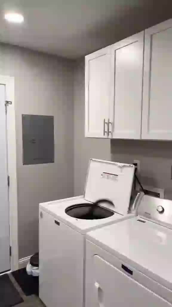 makhluk paling sibuk🤣 #kucingoyen #Kucing #kucinglucu #duniakucing 