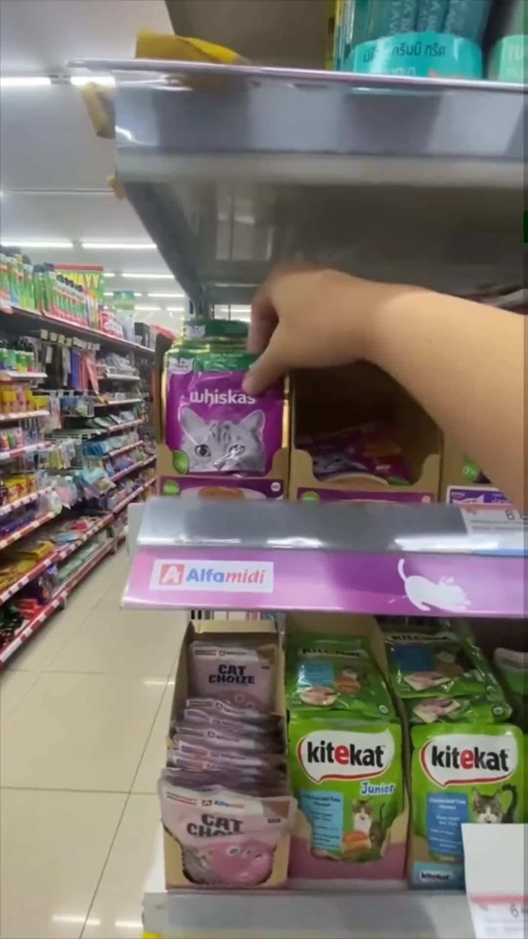 Udah apal medannya nih kucing. 