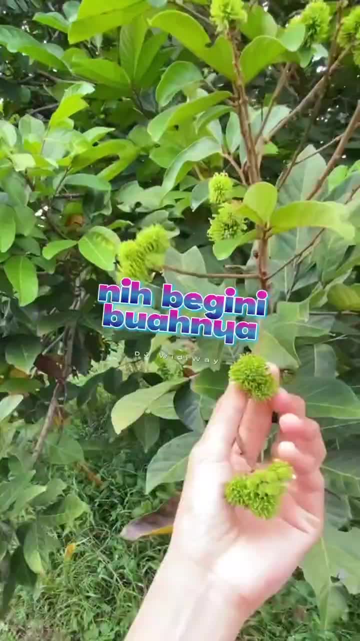 hmm
#Fyp #videoviral #videolucu #videongakak #ngakak #lucu #like #dagelan 