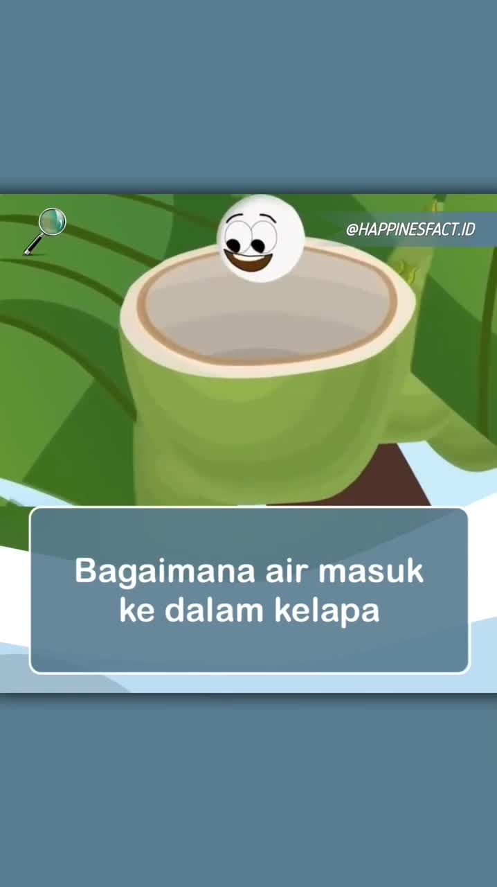 Air kelapa terbentuk secara alami di dalam kelapa sebagai bagian dari proses pertumbuhan kelapa kelapa. Pohon itu menyerap air dan nutrisi d