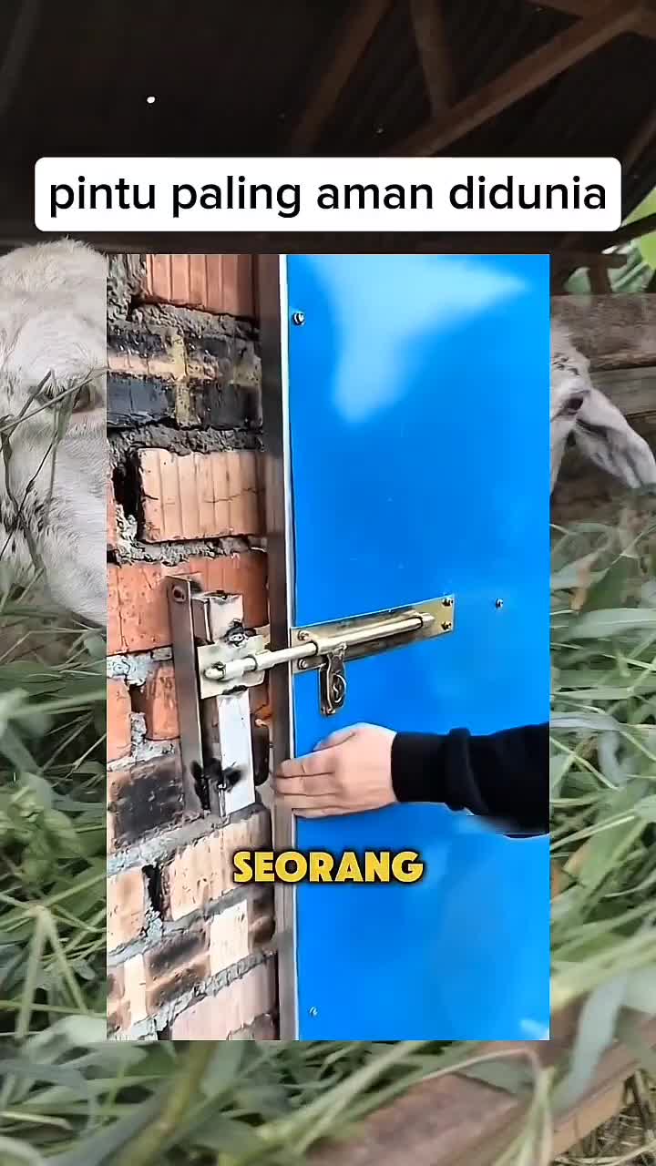 pintu paling aman  #shortplus  #Infotaiment 