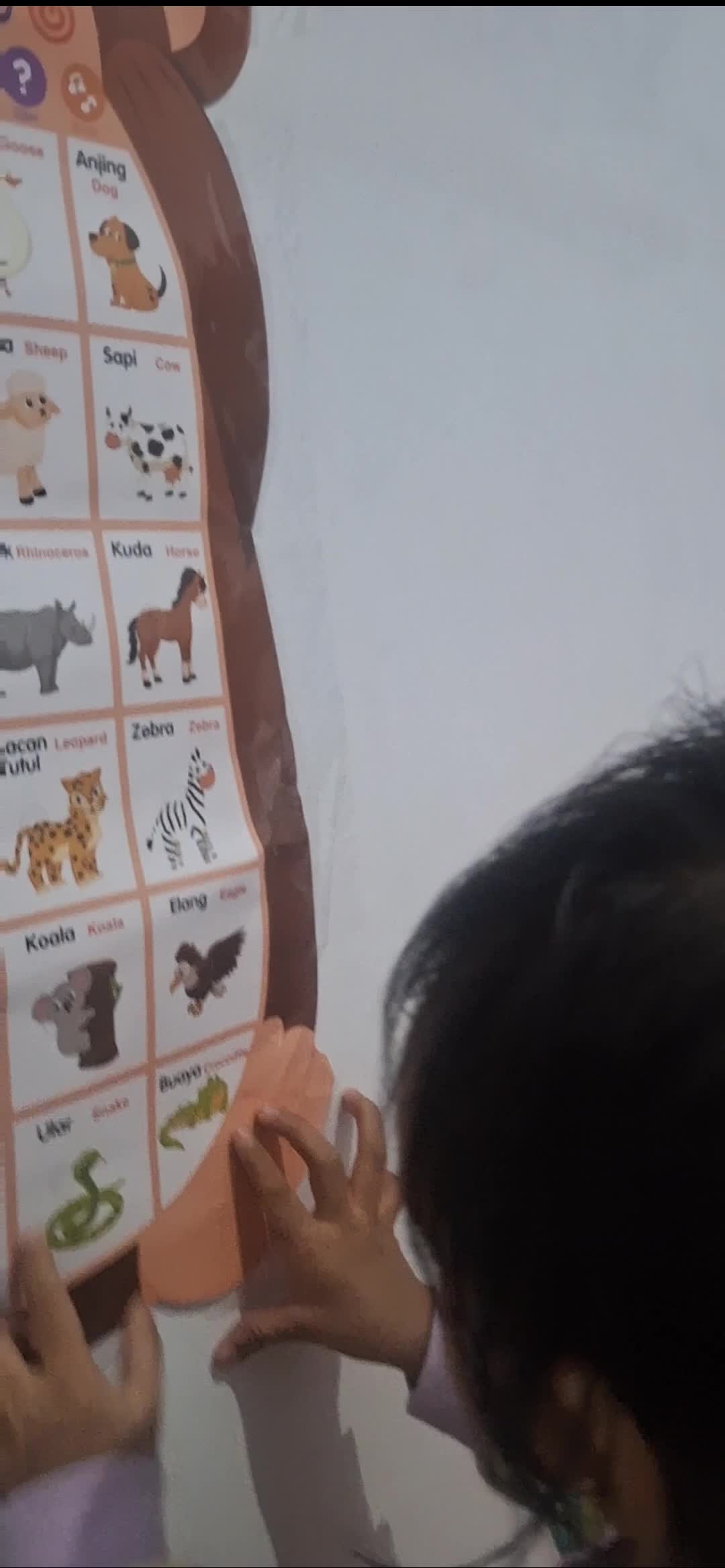 recomend bangeet buat anak seneng belajarnya 


#video #reels #fyp #viral 