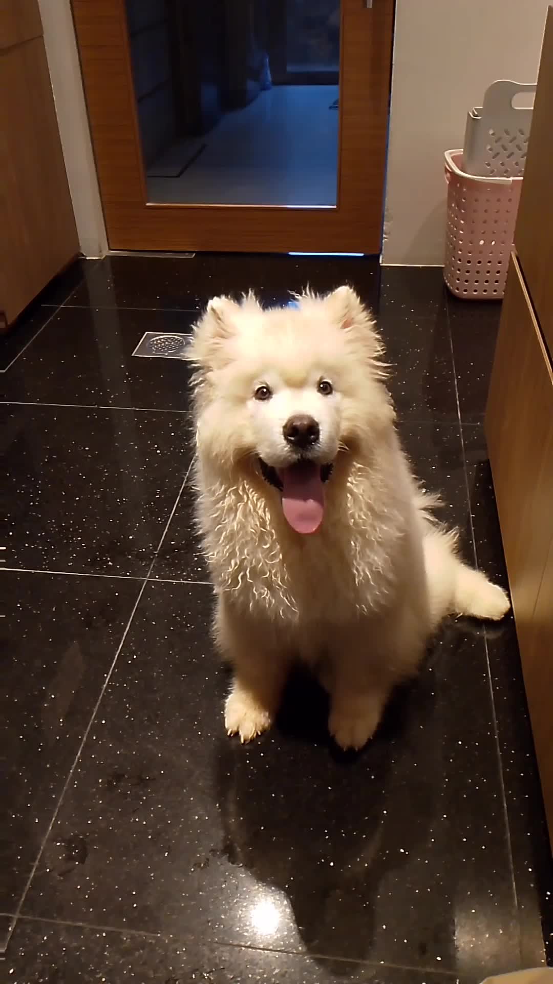 si imut #fypシ  #fypシ゚viral 