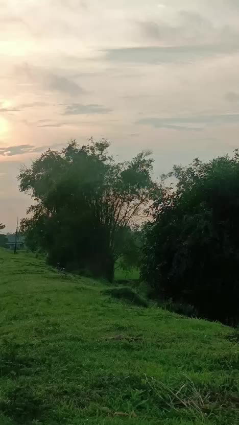  #fyp #fypシ #fypシ゚viral 