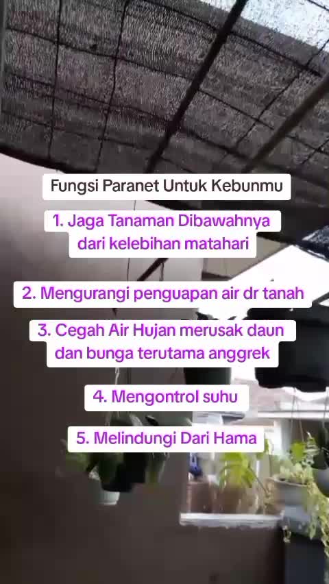 Fungsi paranet untuk tanamanmu  #fungsiparanet  #paranet  #berkebun 