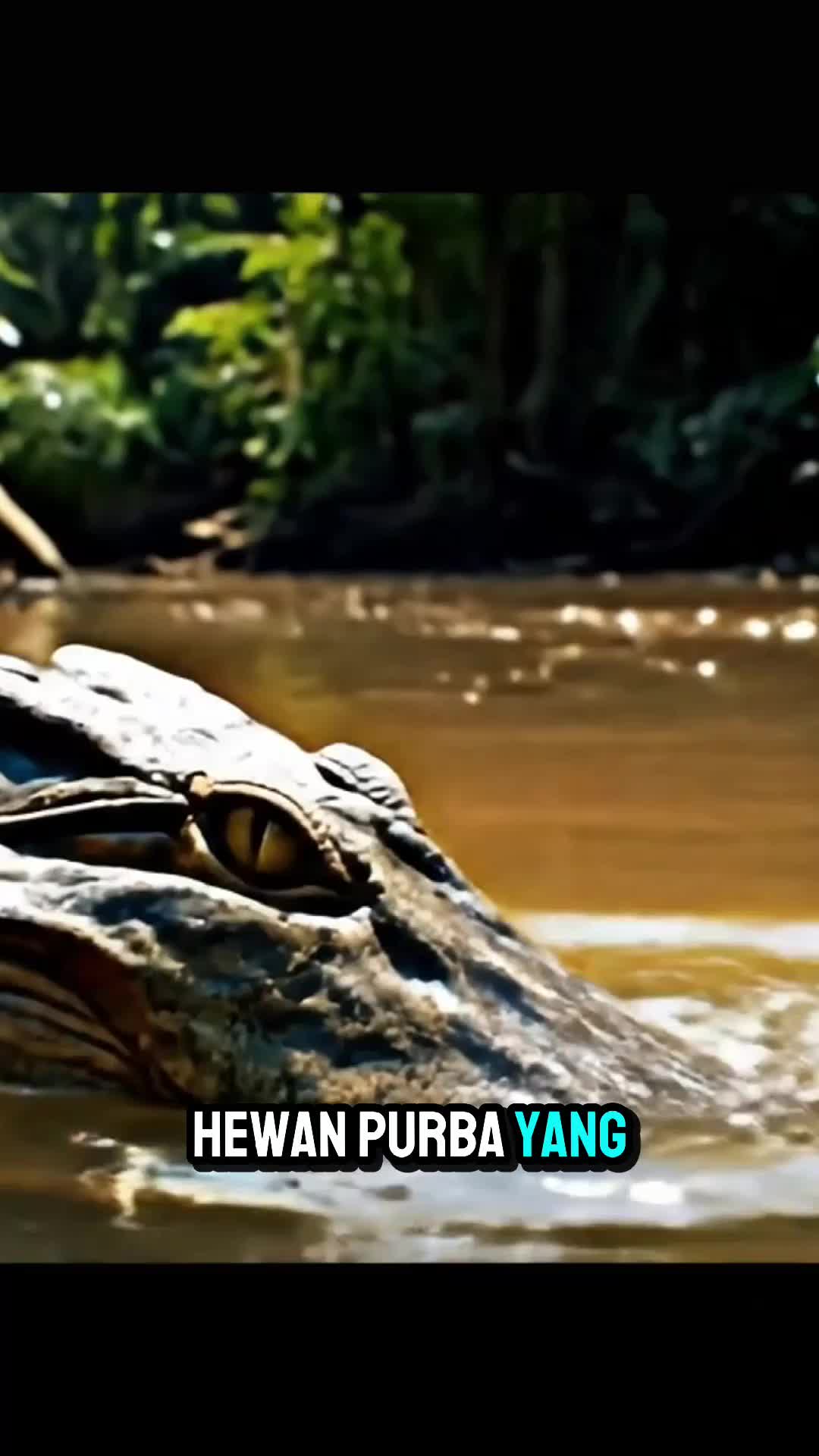 "Buaya Ini Bisa Diam Berjam-Jam... Lalu Menyerang Kilat Tanpa Ampun 😱🧠"