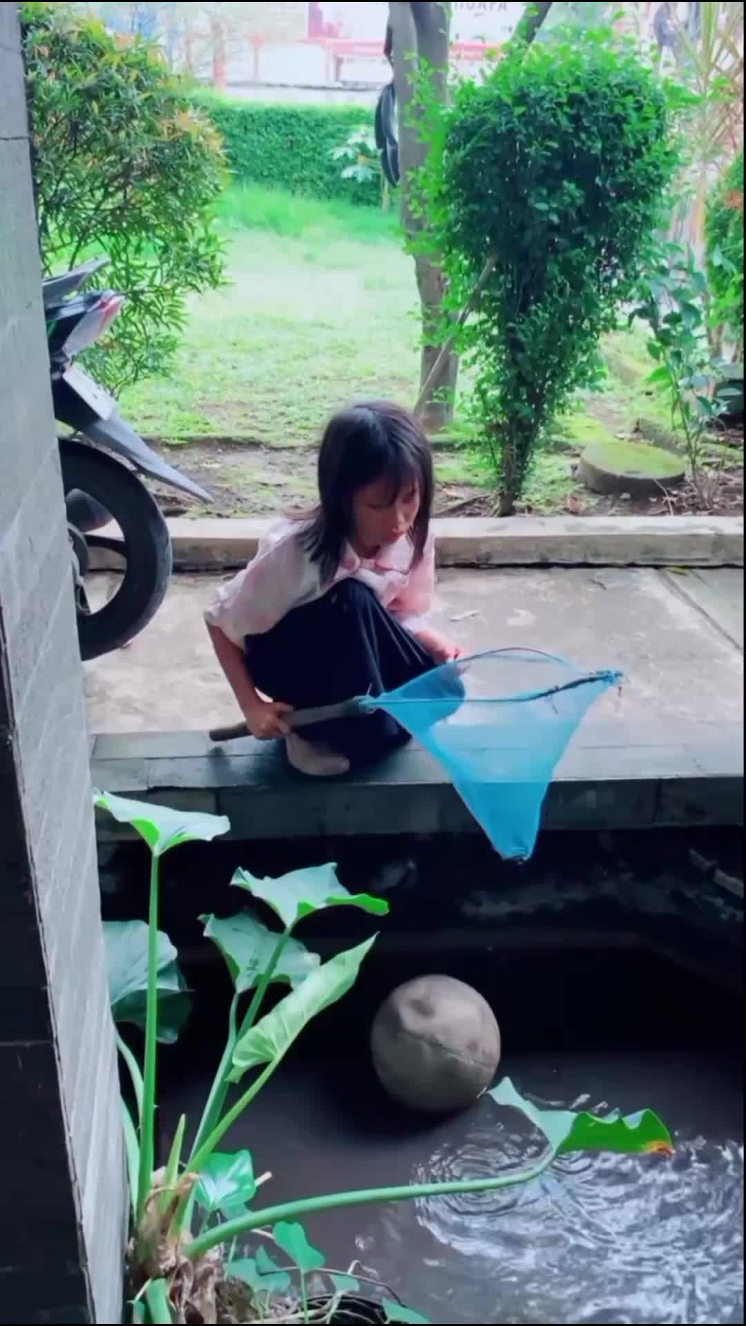 cari ikan