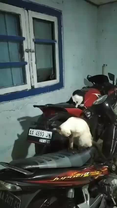 anakku istirahatlah dengan tenang