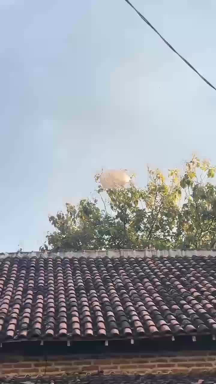 Masih pagi, tiba² ada balon udara nyangkut di pohon belakang pondok, padhl dari kemarin udah di himbau untuk tidak menerbangkan balon udara,