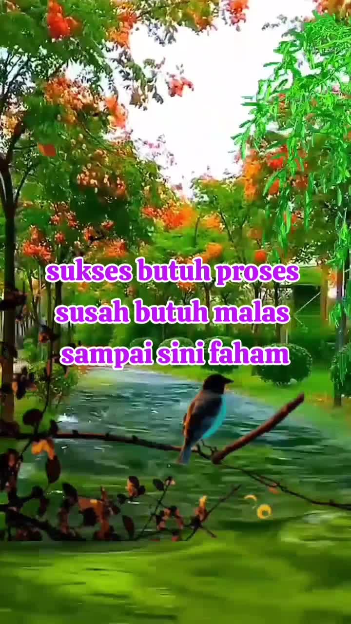  #seru banget ini pemandangannya  #lihat pemandangan di sore hari  #fyp  #animefyp 