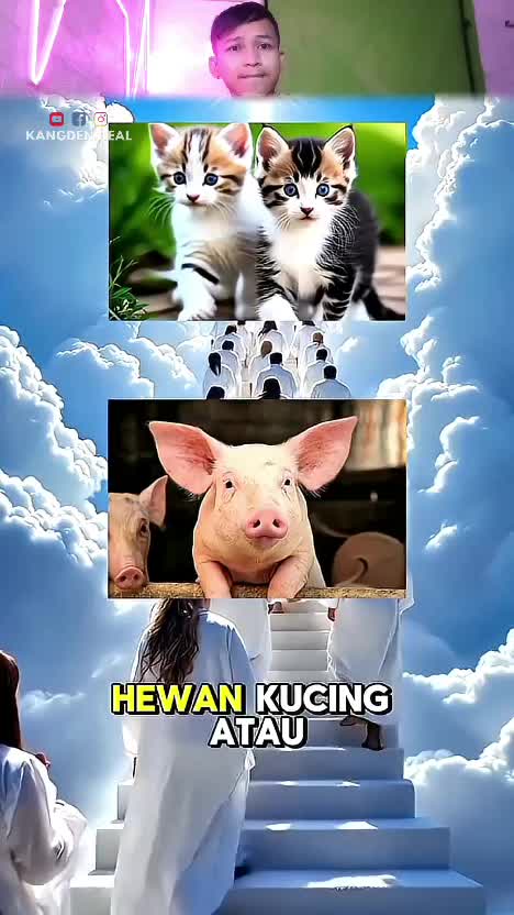 lihat  #RCTIPlus  #HOTrctiplus  #rtciplus 