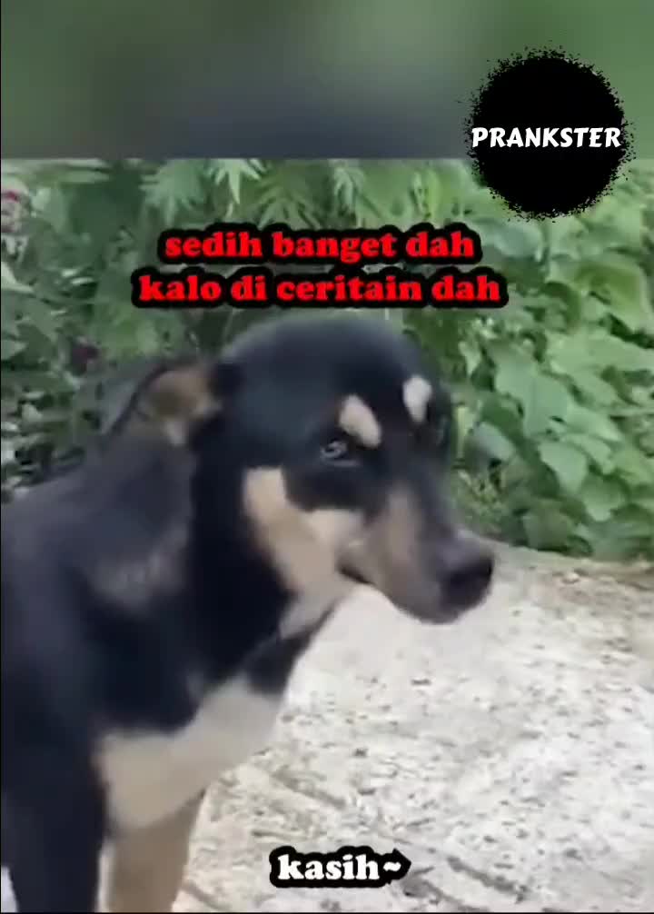 #408 Olahraga dulu😂
#videolucu #prank 