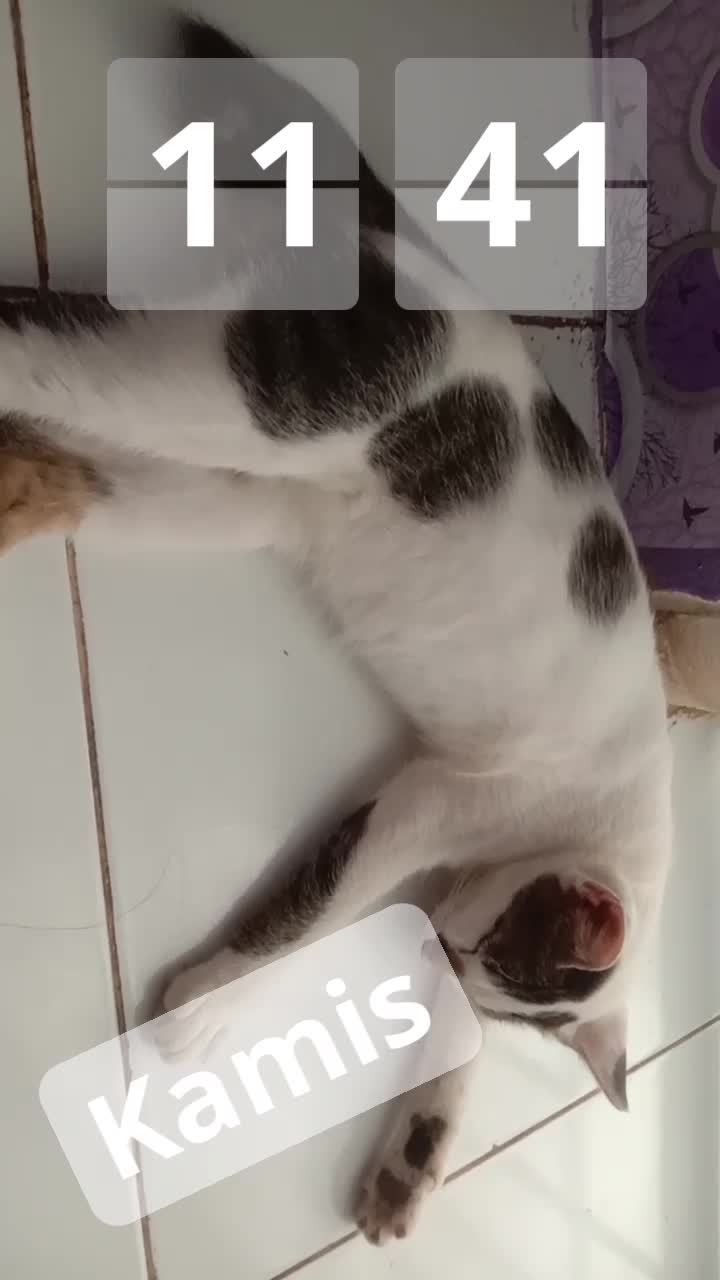 Bobok Nakal 😄😄