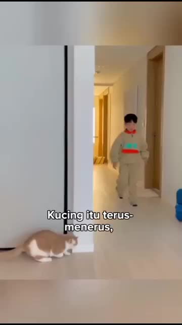Terkejut melihat kucing yg balas dendam ke pemiliknya 


#fyp #short #rigelagency #OriginalSong #HOTrctiplus #RCTIPlus  #viral #HOT #videolu
