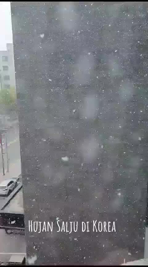 Hujan Salju Di Korea  #KOREA  #Salju 