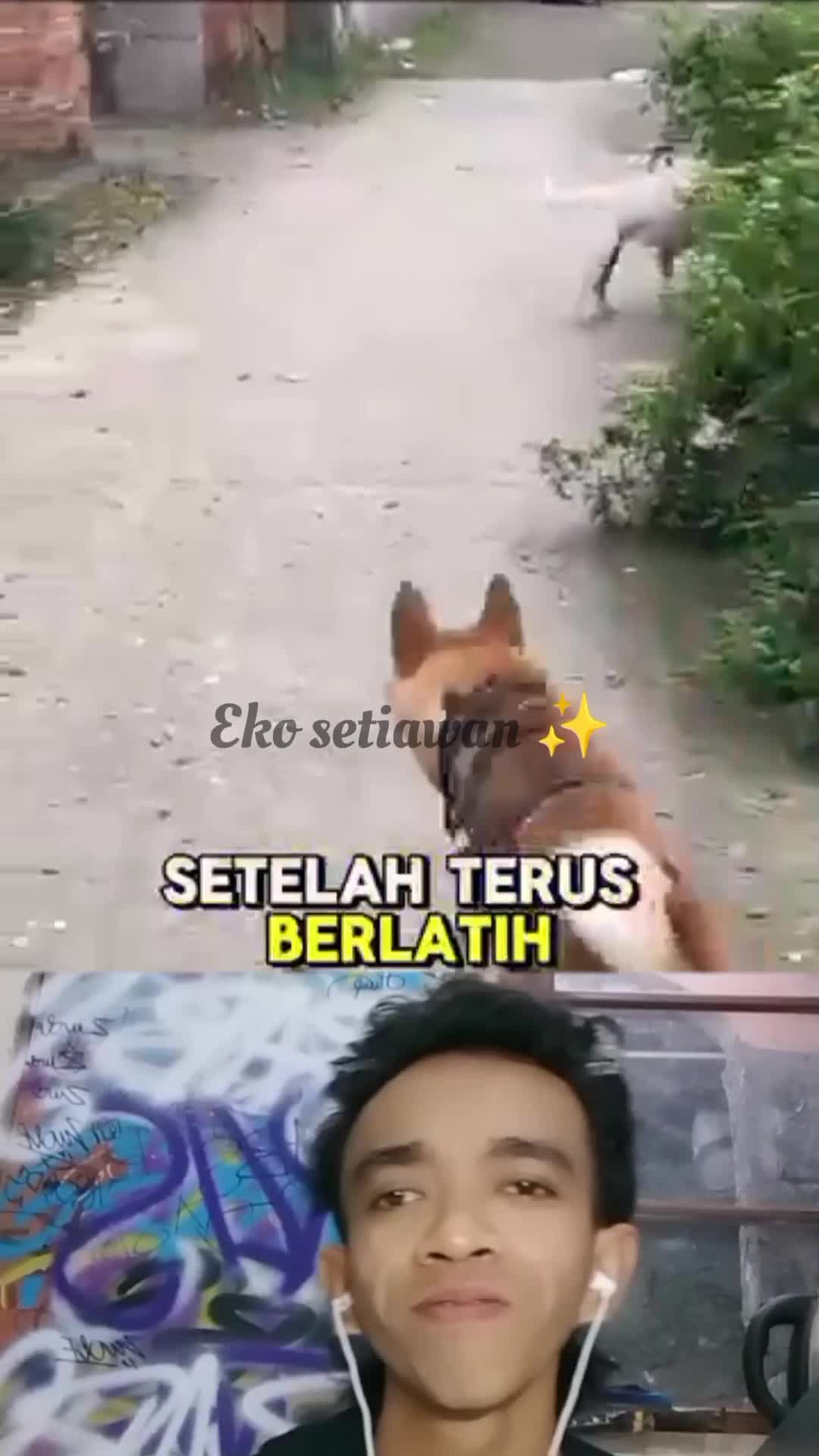 kisah seekor anjing berkaki dua?????