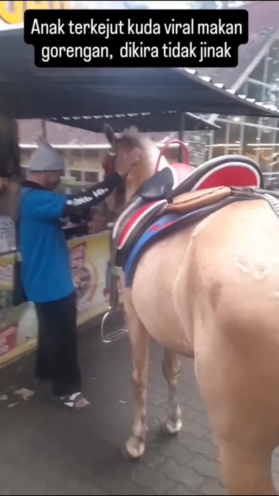 orang kuda mau beli gorengan malah kabur