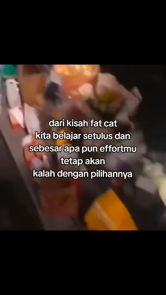 satu kata buat wanita fat cat 