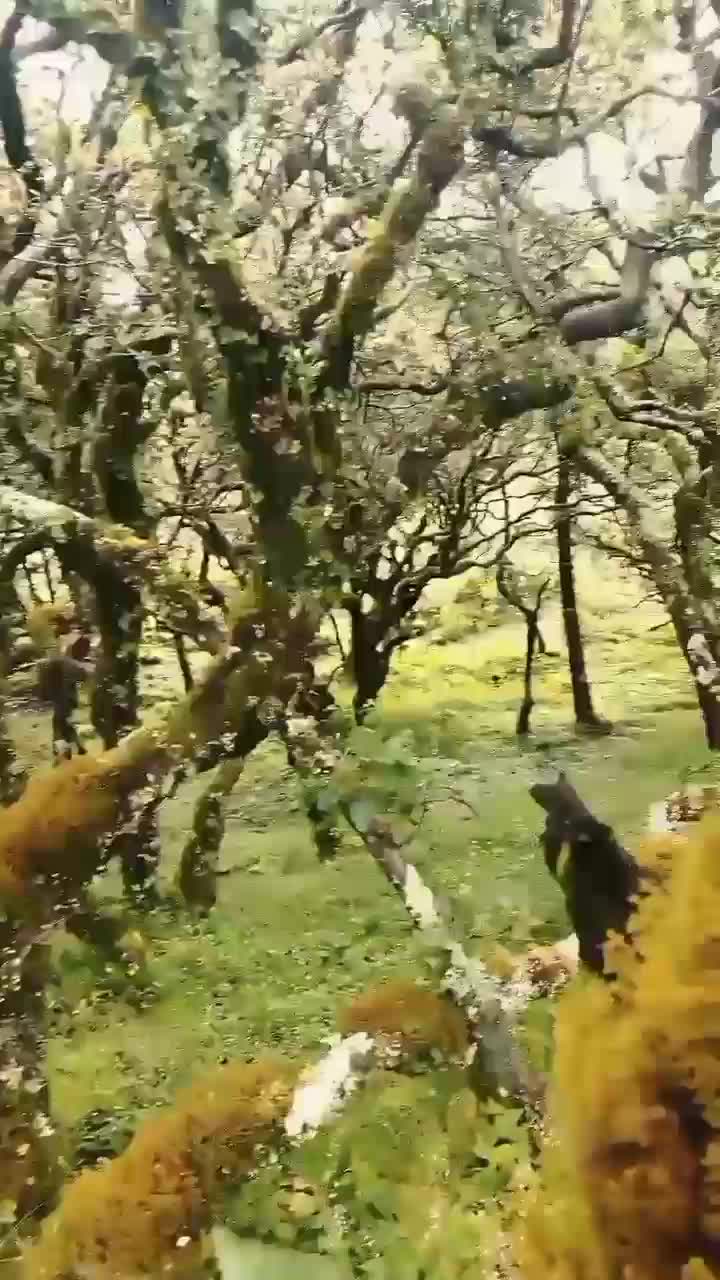  #kekneno  