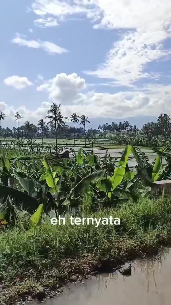 ngaruh  #lucu #kocak #lucu_ngakak #jokes #comediahumor #jokesbapak2 #comedy #comedyvideo #jenaka #lucubanget #kocakngakak 