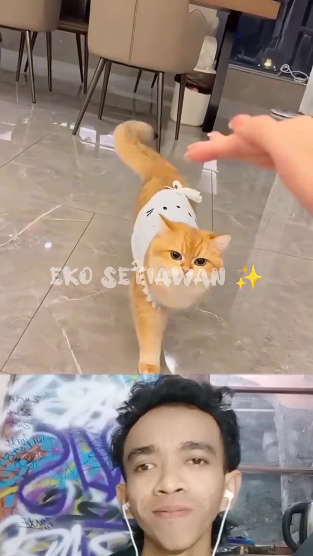 para anabul sedang antri minum di galon ???