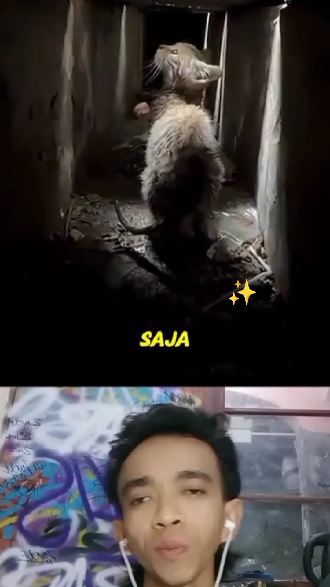 kucing ini terjebak di dalam gorong gorong yang sempit selama berbulan bulan ?