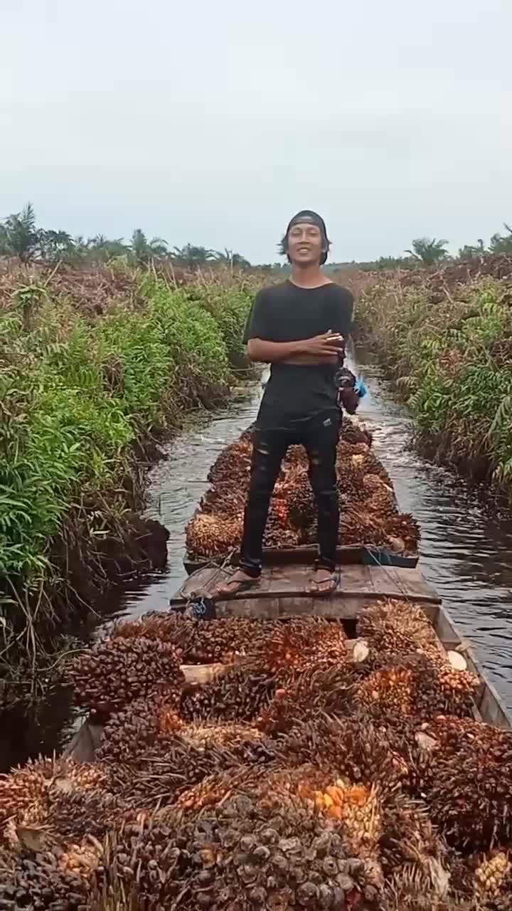 Impo Haraga sawit bos