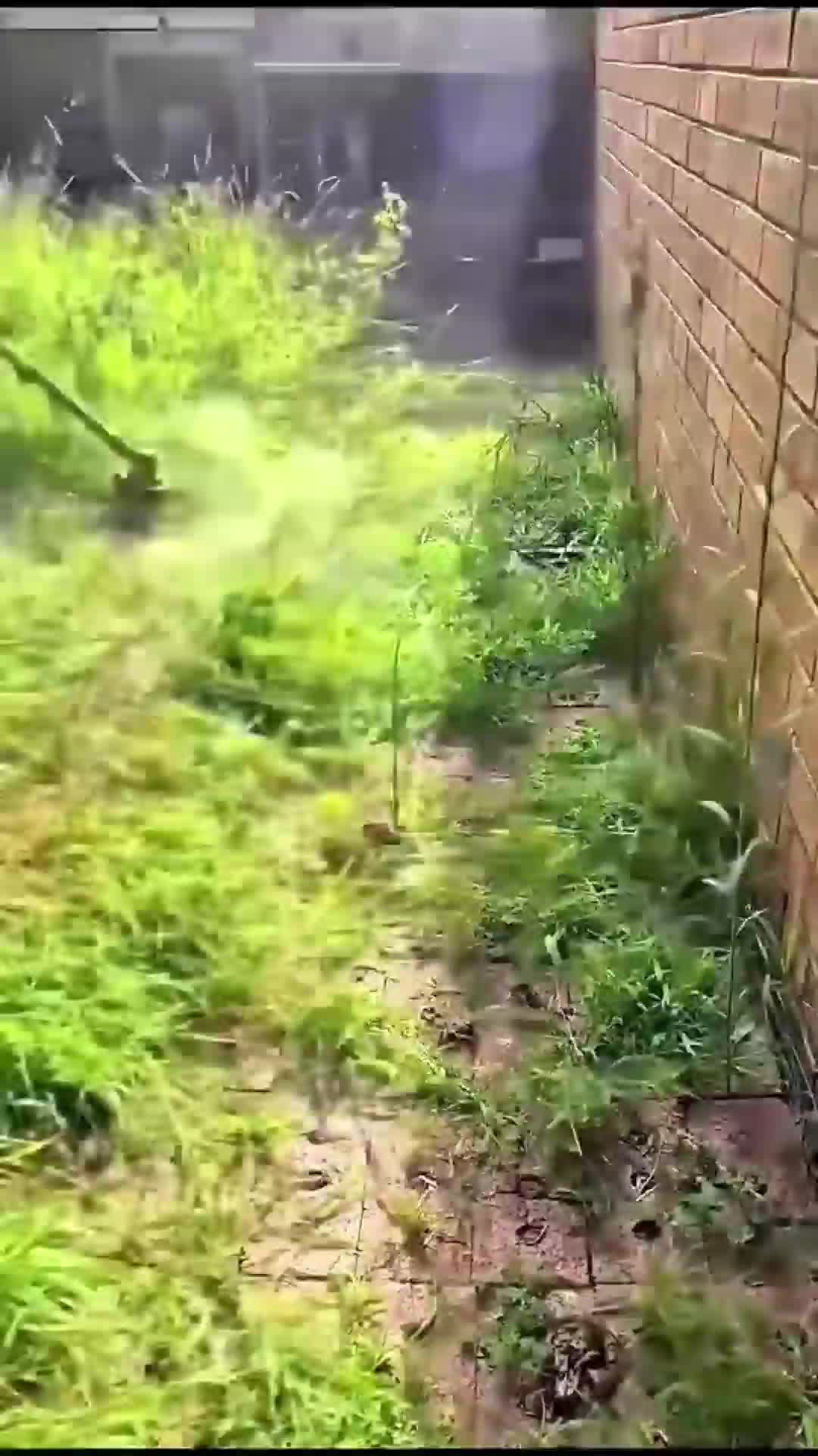 #cleaning #cleaningsatisfying #satisfyingvideo #cleaningasmr