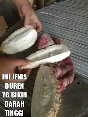 #BUAHDURINERAKA 