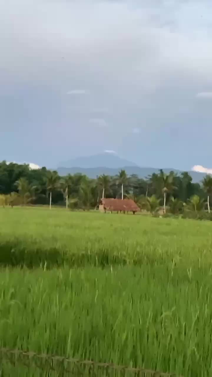  #sorotanpublik  #semuaaorang
