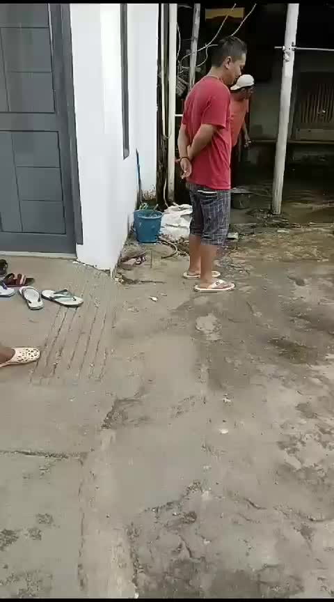 kegiatan hari ini meninjau tempat penjualan burung 
 #minivlog 
