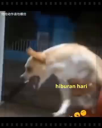 ngakak ?????
#fypシ #viralreelsシ #viralpost2025シ #pemulafbprojangkauanluas #viralreelsfacebook #fypreel #fypviralシ #short #shortplus  #funnyv