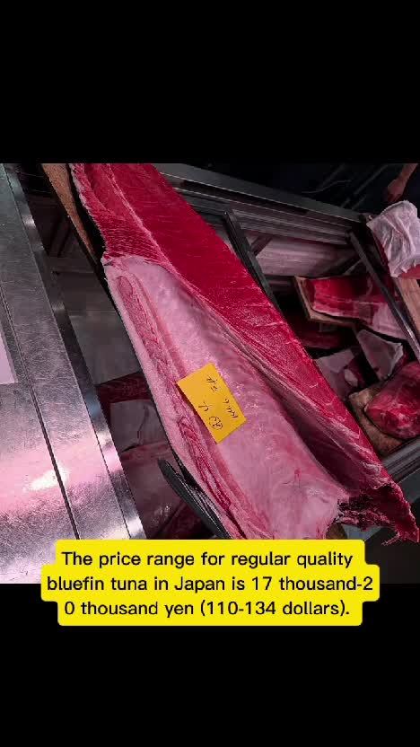 Japanese bluefin tuna #JAPAN #fishing #tuna #asmr 