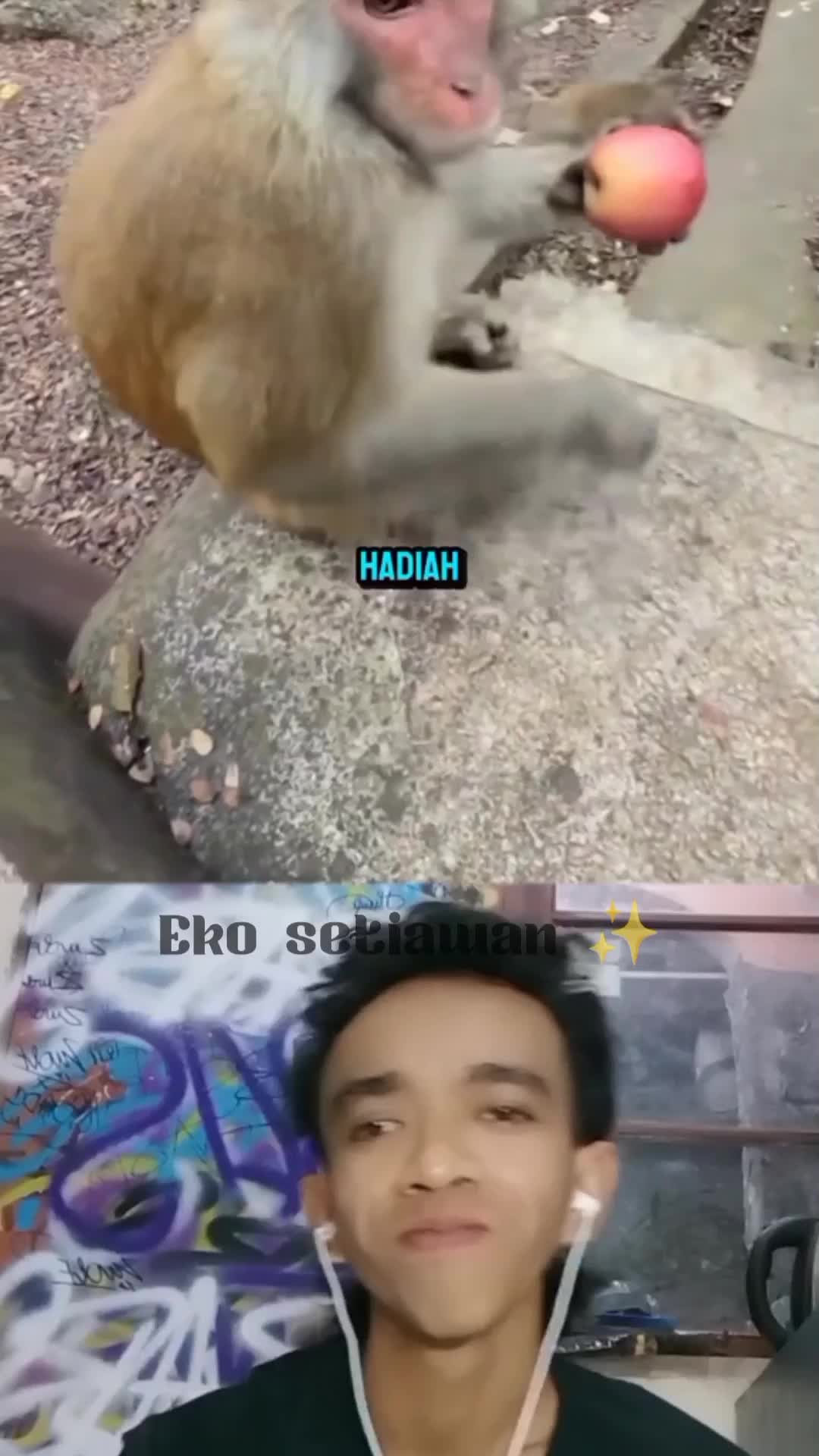 monyet ini membantu si kakak dan berteman ??? #duett #reactiont #clippers #fyp #vira 