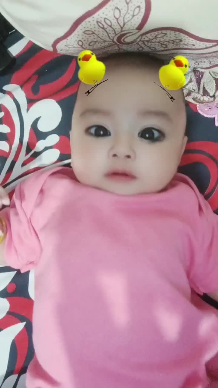 Anak Ayam 🐥🐣🐤