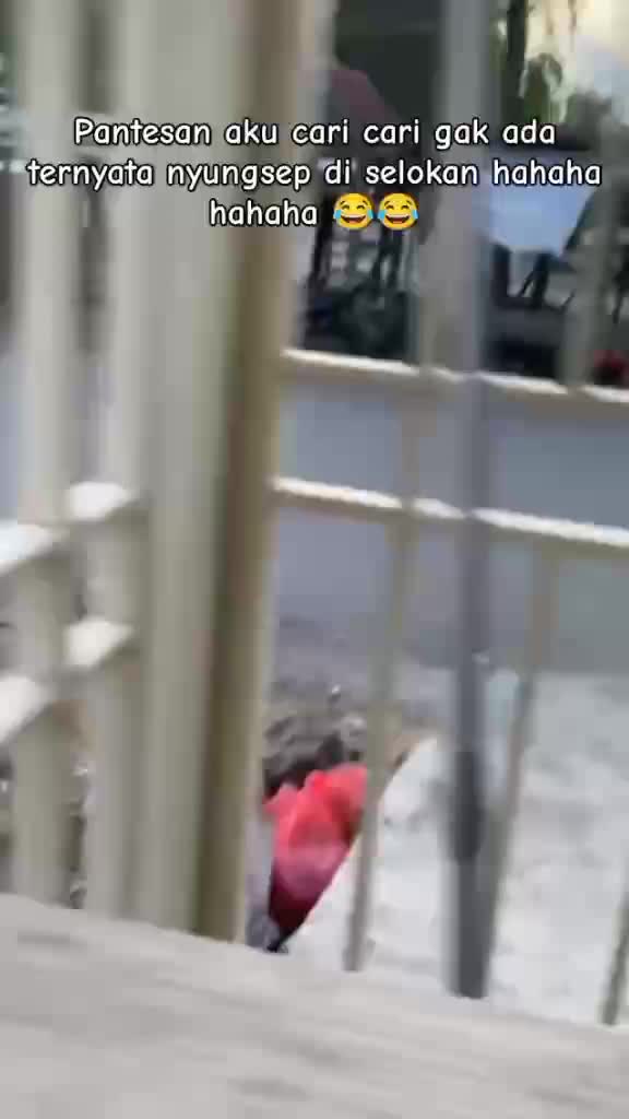 fggg