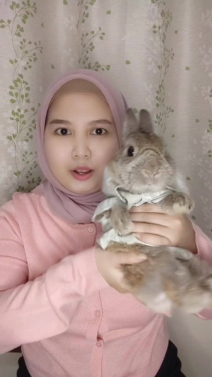 Bersama cinnamon ku  #cinnamon  #kelinci 